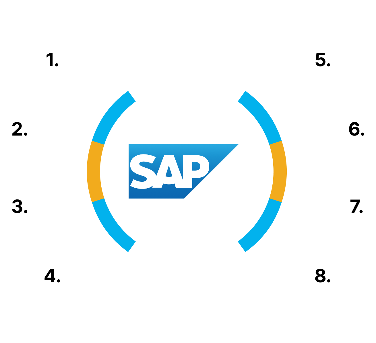 SCM Champs SAP consultant reviewing global logistics
