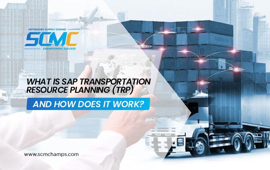 SAP Transportation Resource Planning (TRP) and Work