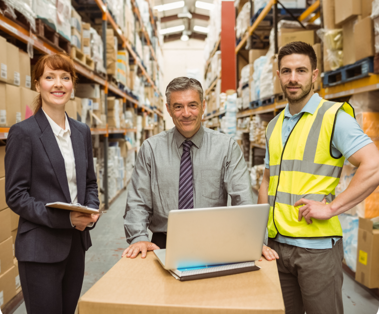 SAP Consultant on-site
